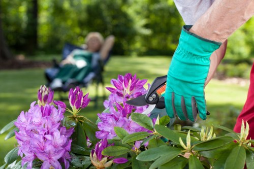 Eco-friendly garden waste management in Hainault
