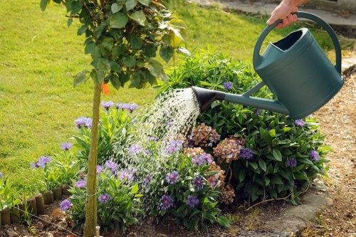 Tools and equipment used for garden clearance