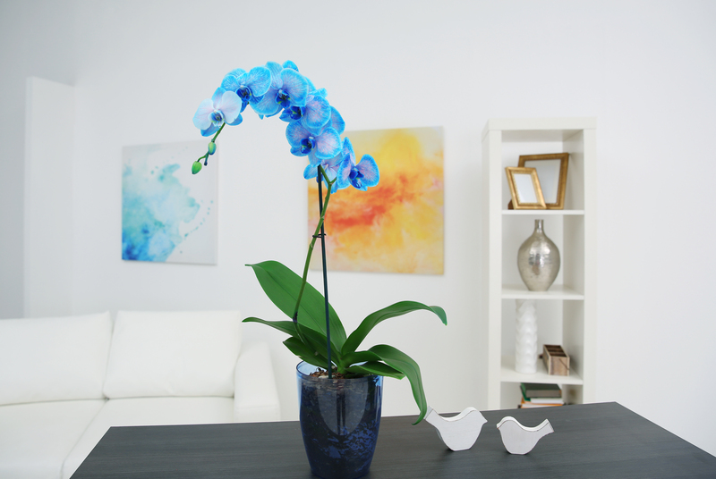 lawn care garden care